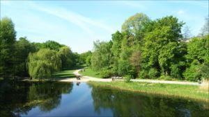 Y3055_R.JPG