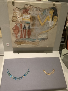 Y4926.JPG