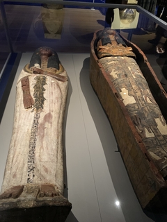 Y4928.JPG