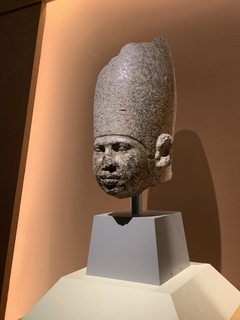 Y4929.JPG